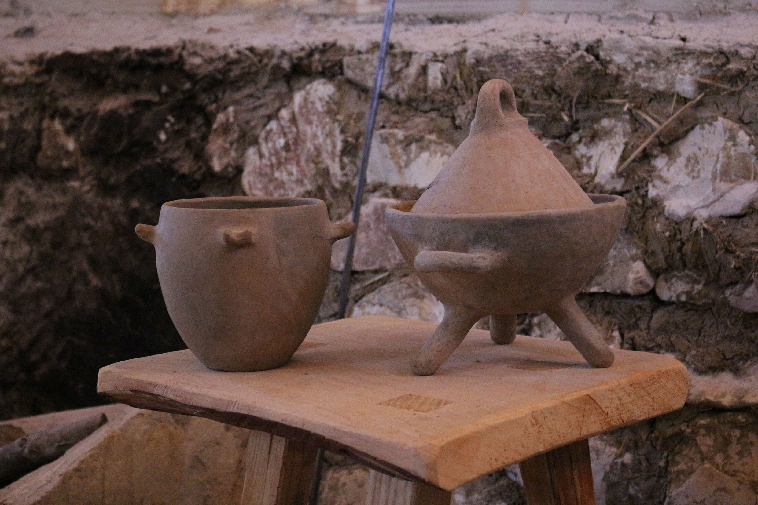 Alla scoperta della storia e della cultura picena. Visita guidata all’Area Archeologica “I Pini”.